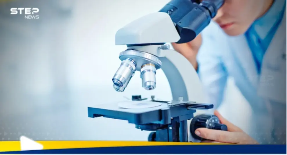 اختراق غير مسبوق في أبحاث مرض السرطان.. دراسة تتوصل لعلاج بديل عن الكيماوي: السرطان