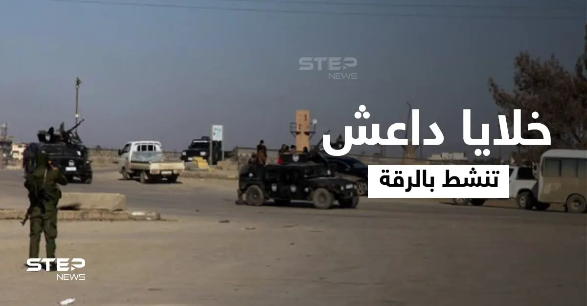 خلايا داعش تنقض على قوات النظام السوري في الرقة وتشتبك مع قسد وفقدان شبه تام للمحروقات: عين عيسى