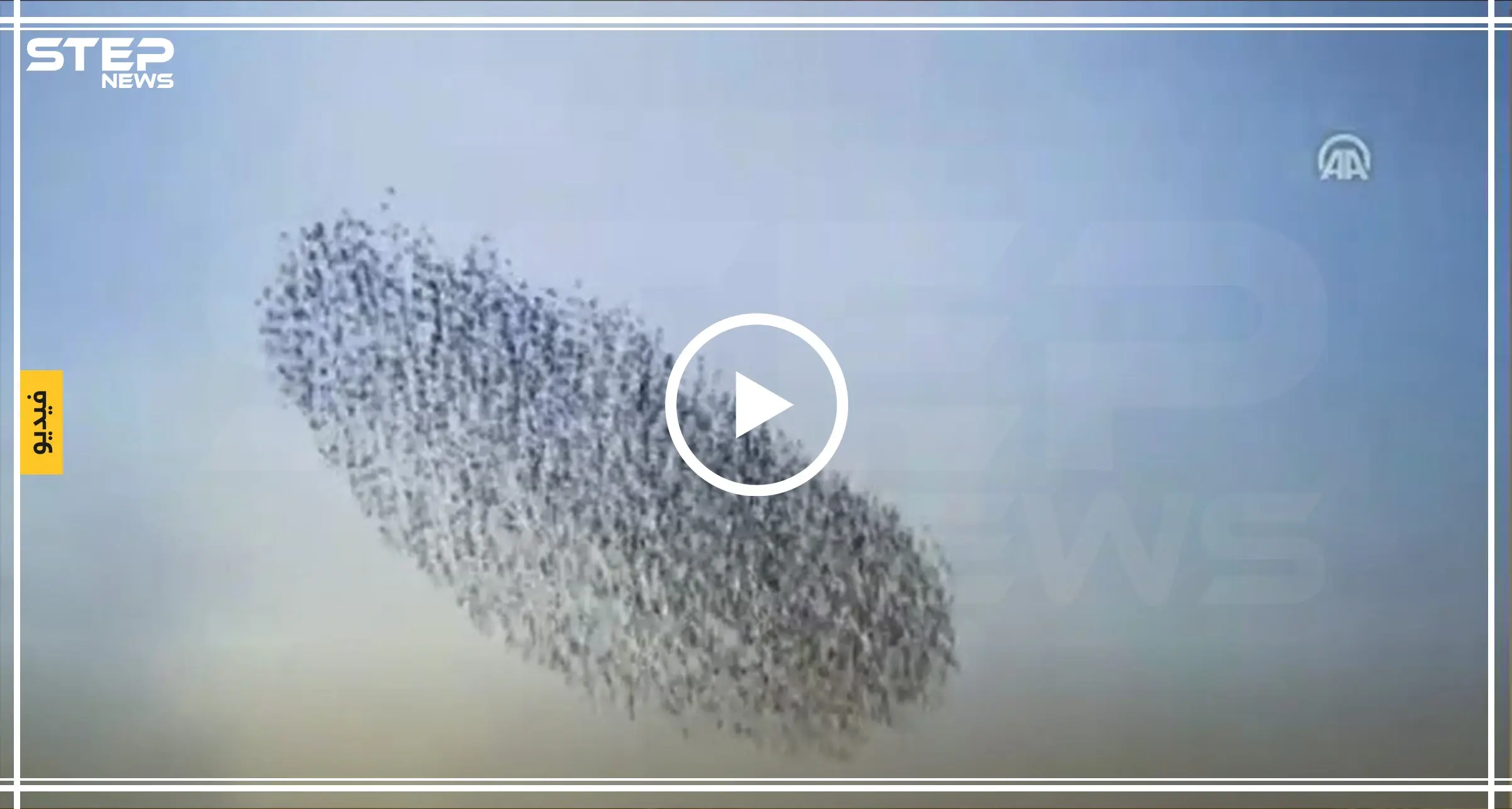 بالفيديو || أهالي أحد المدن التركية يستفيقون على هذا المشهد الذي غطى السماء: طيور الزرزور