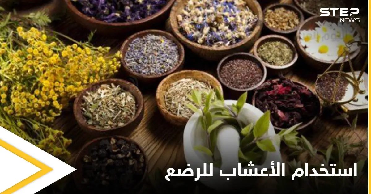 هل من الآمن استخدام الأعشاب للرضع وكيفية استخدامها إليك أهم المعلومات: الرضع