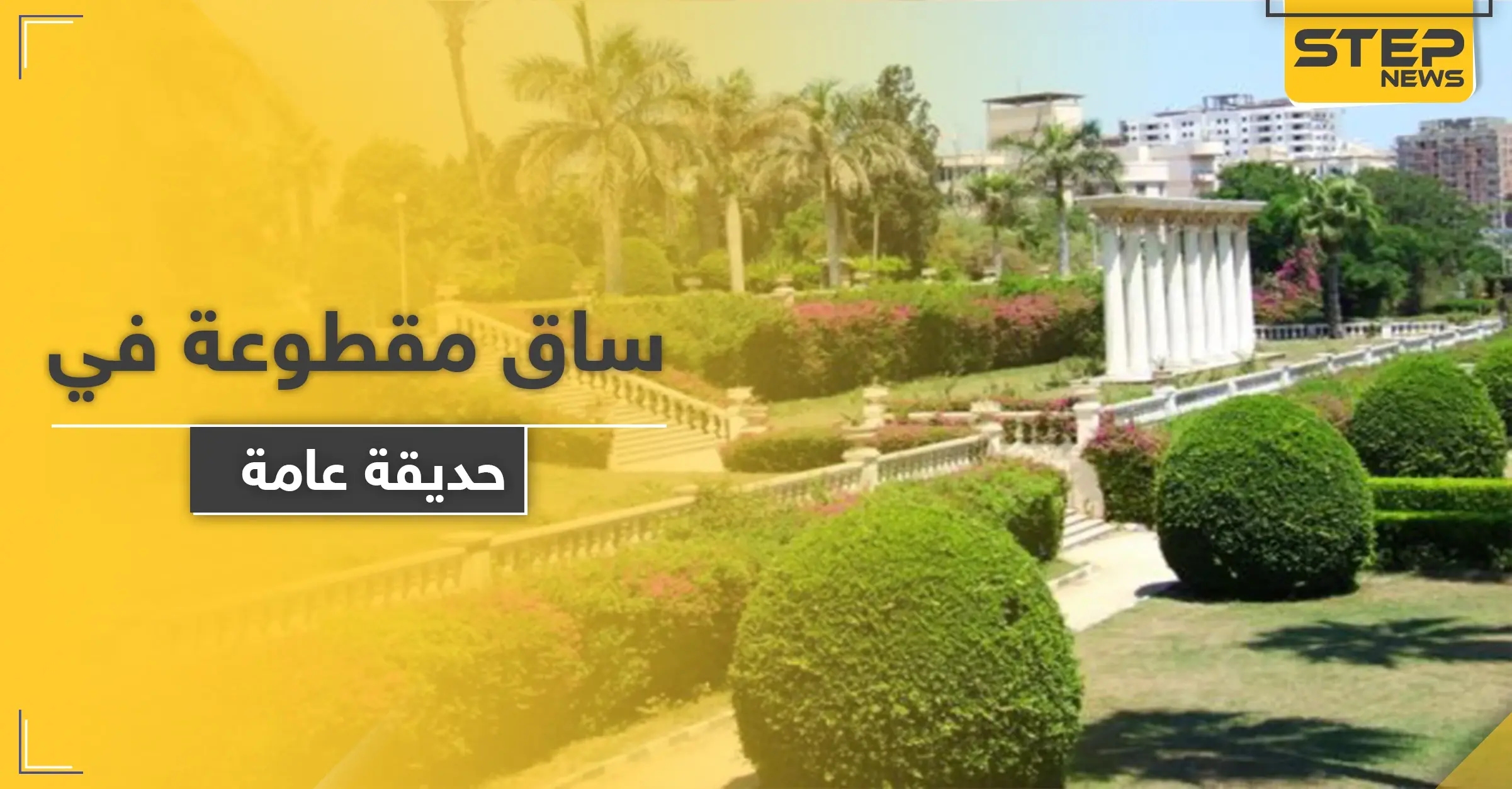 العثور على ساق لفتاة مدفونة في حديقة عامة وسط حلب والطب الشرعي يوضح: فرع الأمن الجنائي