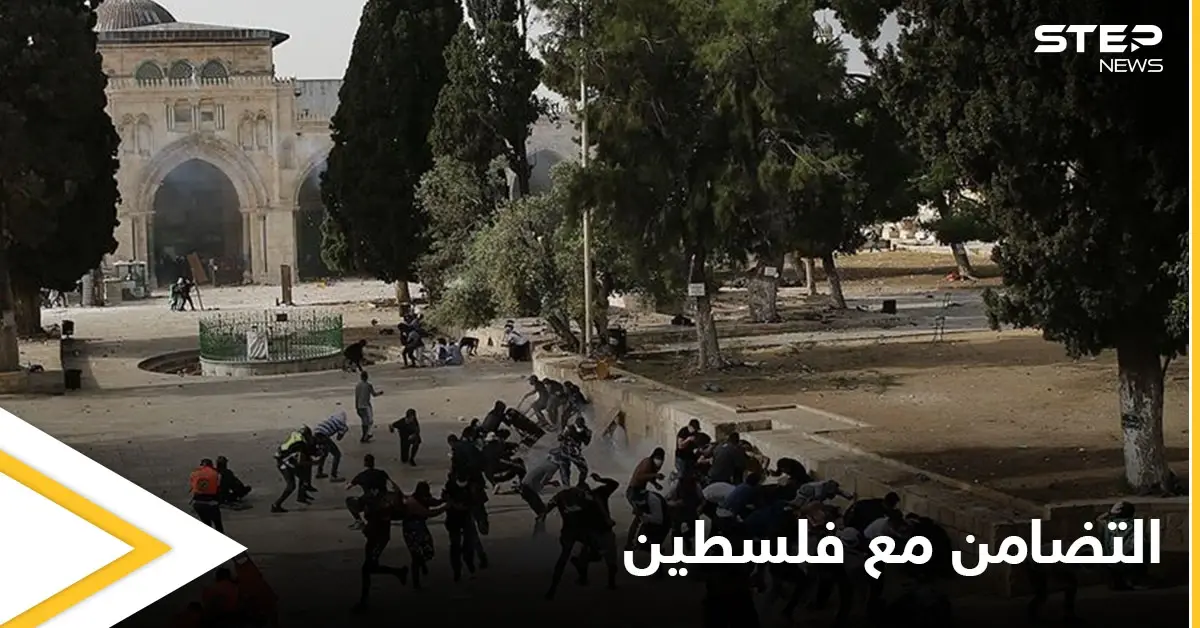 "فلسطين" تتصدر منصات التواصل الاجتماعي في مصر ولبنان ودول عدة بكلمات مؤثرة: غزة