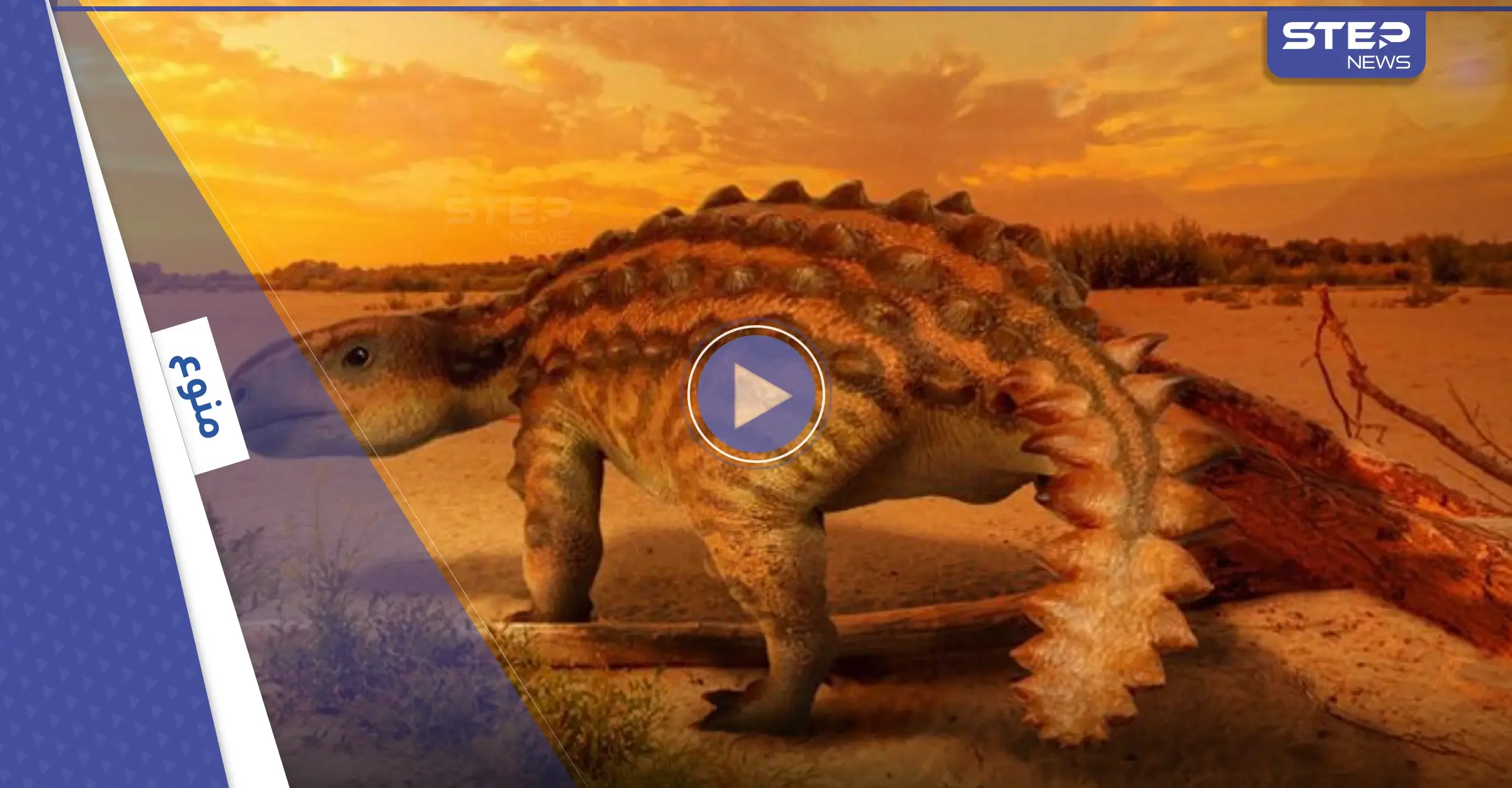 بالفيديو|| اكتشاف ديناصور مدرع بذيل مذهل يشبه أحد أسلحة البشر يعود إلى ملايين السنين: بالصور العالم