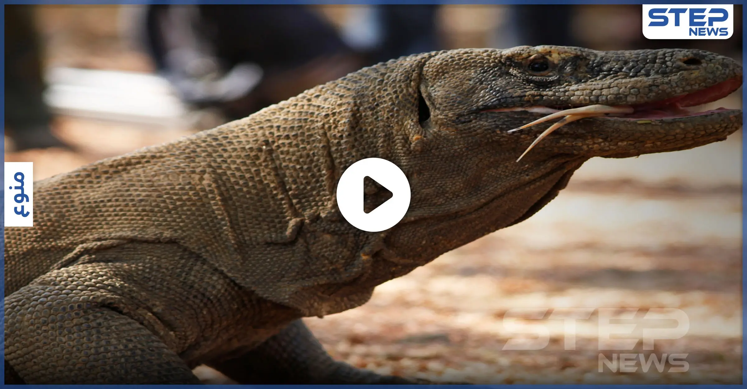 بالفيديو || مفاجآت جديدة لأمريكا.. "كائنات عملاقة" تغزو أجزاء من الولايات: الزواحف