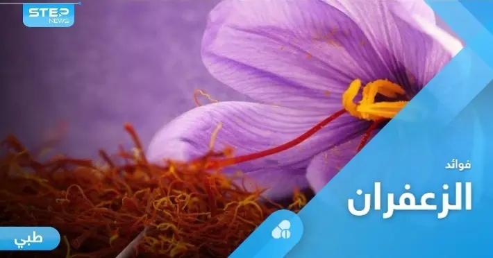 من أغلى النباتات في العالم.. الزعفران صيدلية متكاملة لعلاج الأمراض: الزعفران