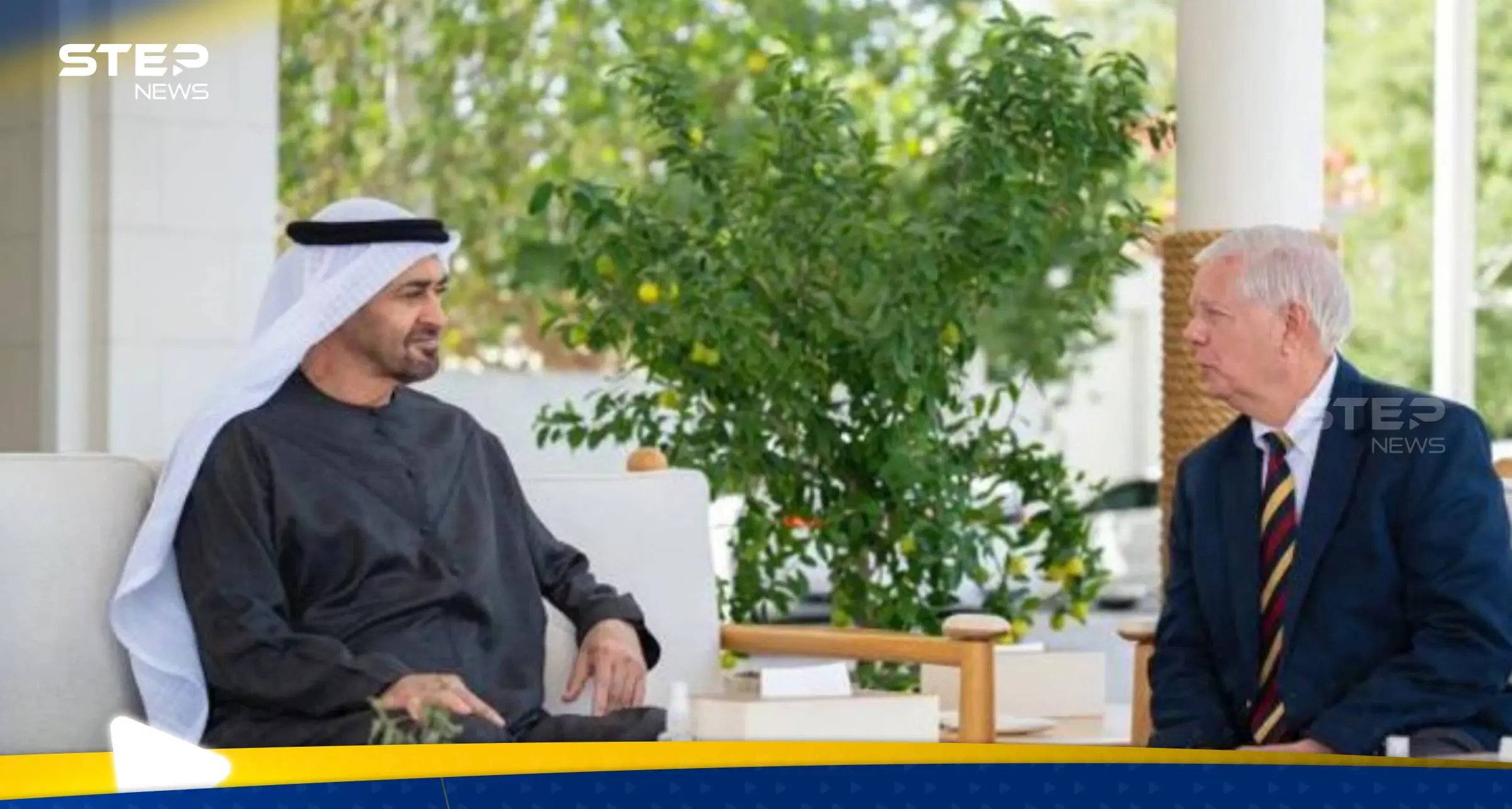 الرئيس الإماراتي وليندسي غراهام