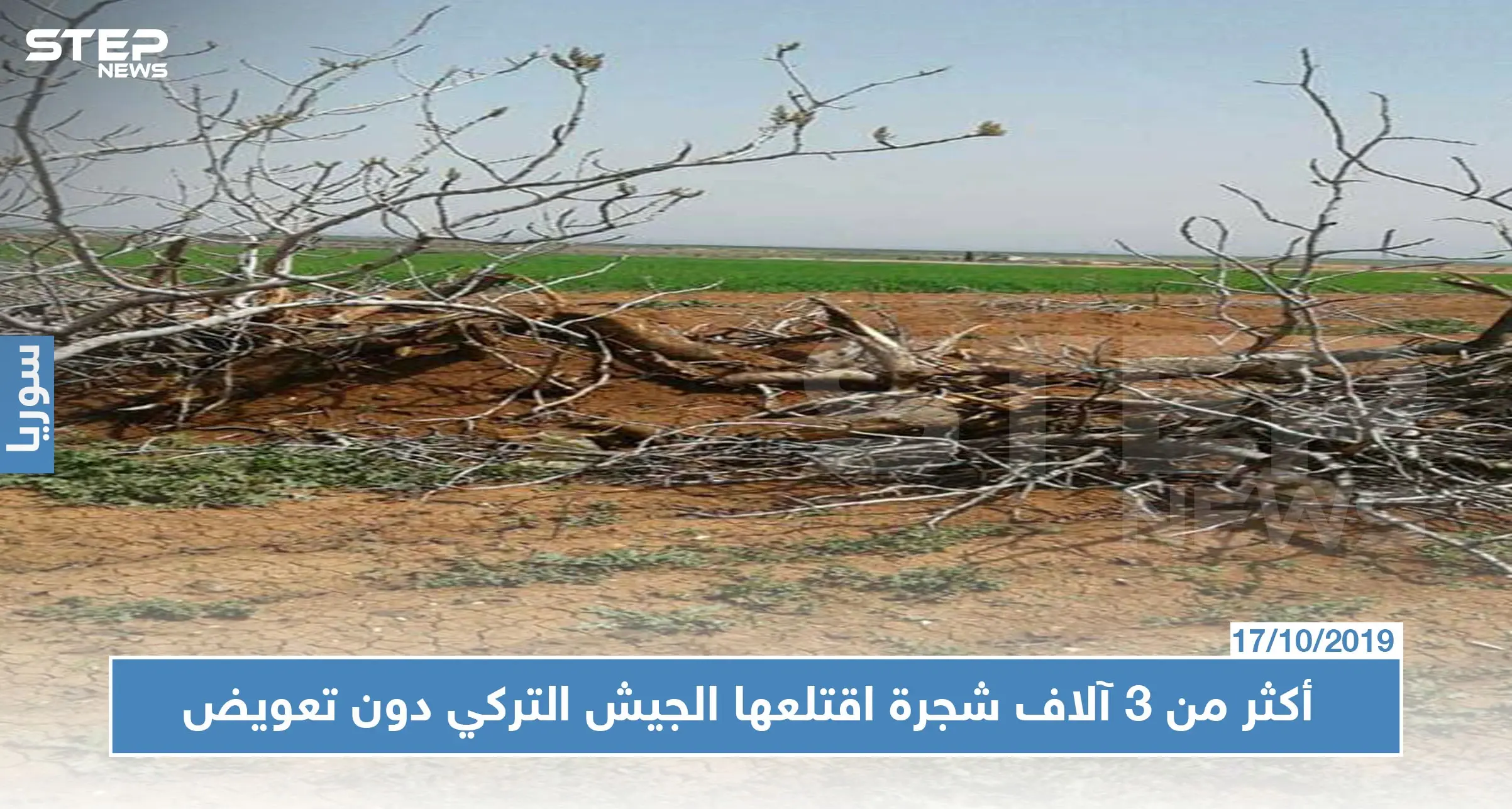 سوريون خسروا أراضيهم وأشجارهم في كلجبرين بريف حلب بسبب الجيش التركي: كلس