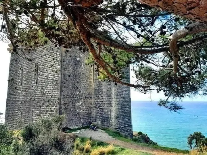 سوريا طرطوس - عدسة الجمهور - وكالة ستيب نيوز