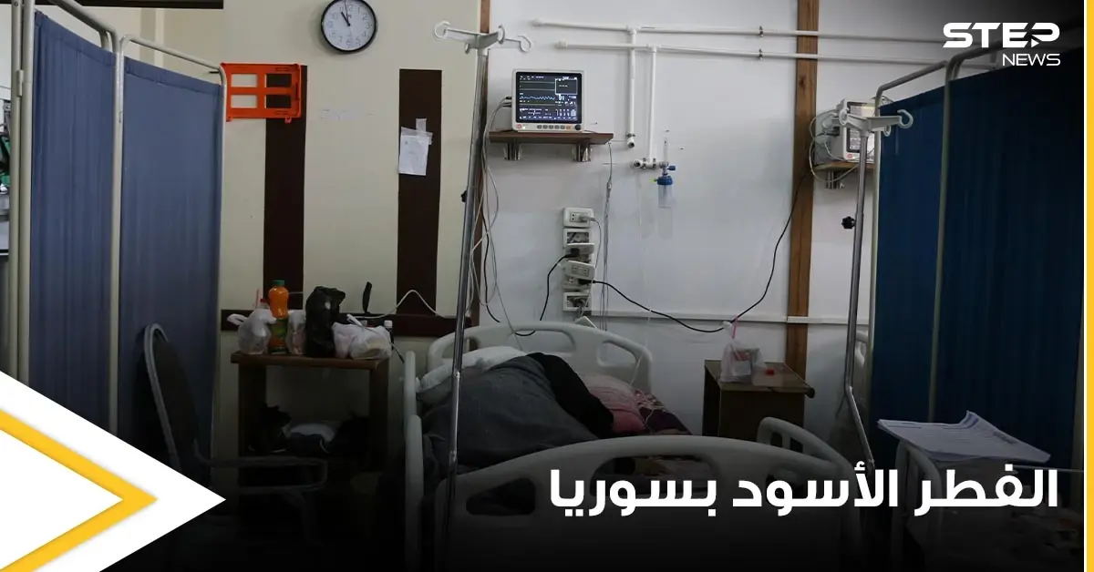 الفطر الأسود خطر جديد يلاحق السوريين وصحة دمشق تدق ناقوس الخطر.. تعرف على مخاطره وطرق علاجه: الفطر الأسود