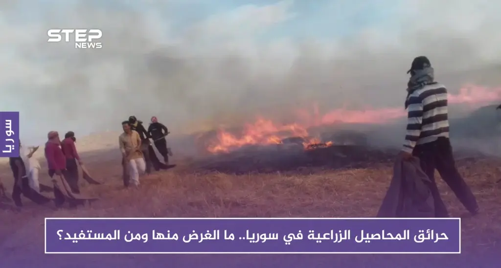 حرائق المحاصيل الزراعية في سوريا.. ما الغرض منها ومن المستفيد؟: حرائق