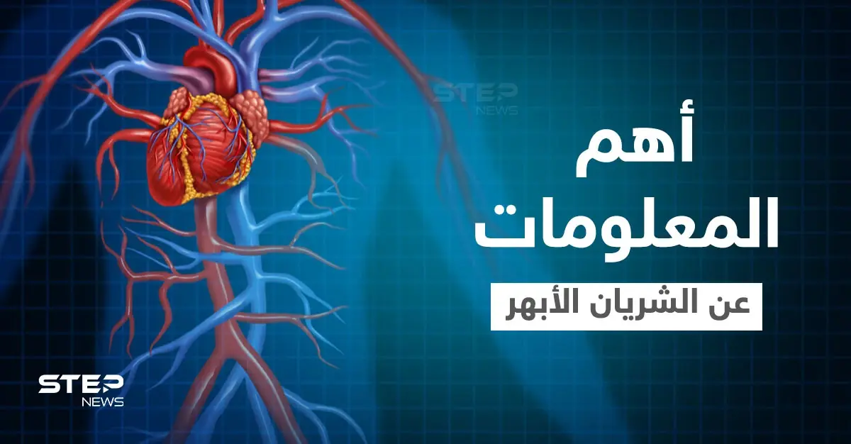 الشريان الأبهر أكبر شريان في الجسم أسباب ضعفه وطرق التخلص من الألم إليك أهم المعلومات: مضادات الاختلاج