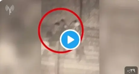 إسرائيل تنشر شريطاً مصوراً لِلبنانيين حاولوا التسلل إلى أراضيها ليلاً.. وأدرعي يوجه رسالة للبنان (فيديو): محاولة تسلل من لبنان