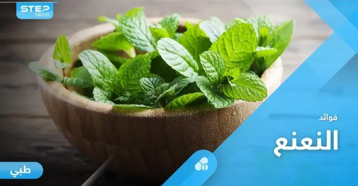أكثر النباتات العلاجية شعبية حول العالم.. النعنع وفوائد كثيرة لا تحصى: النعنع
