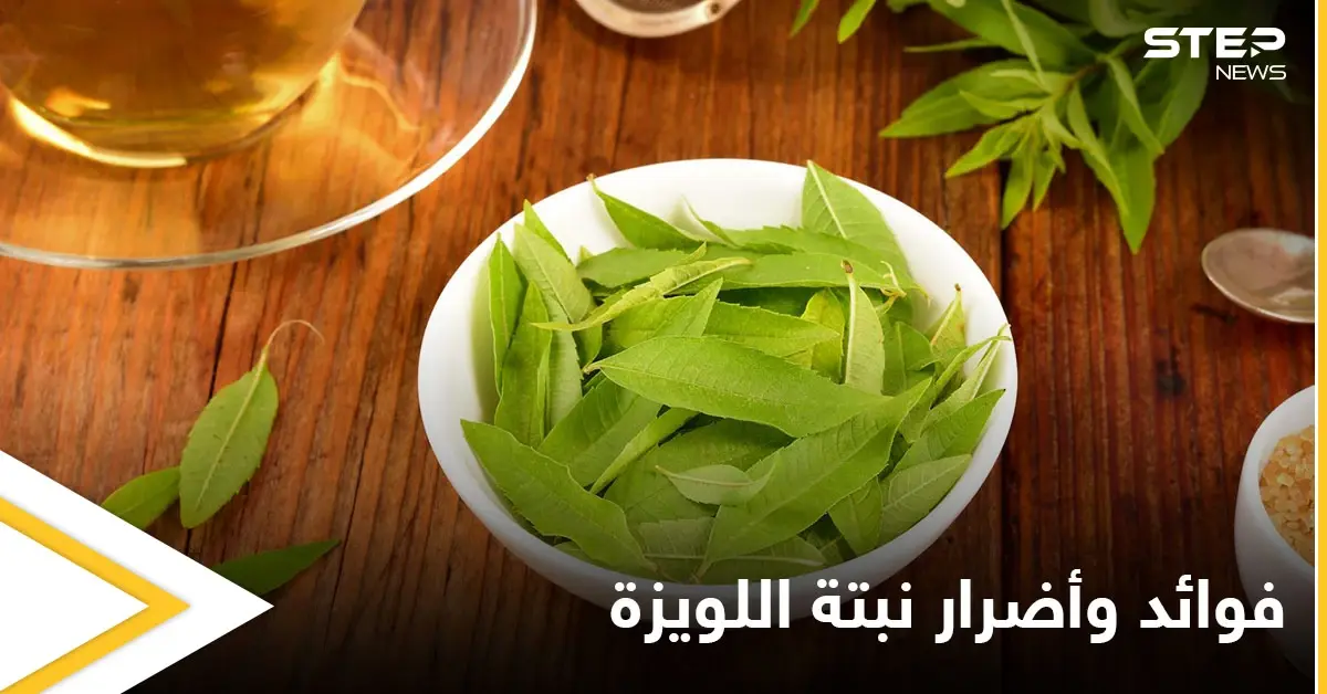 نبتة اللويزة لعلاج الربو وغيره من الأمراض وتحذيرات للمرأة الحامل: فوائد