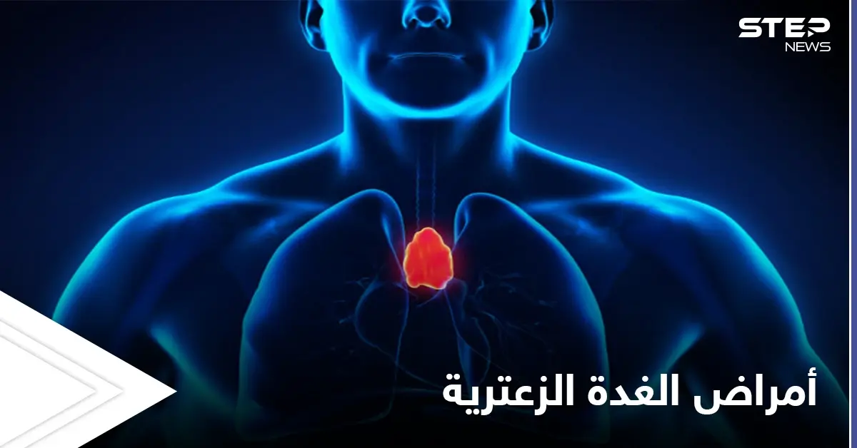 أهميتها كبيرة لصحة الإنسان.. تعرّف على الغدة الزعترية وأكثر أمراضها خطراً وطرق علاجها: الخلايا اللمفاوية