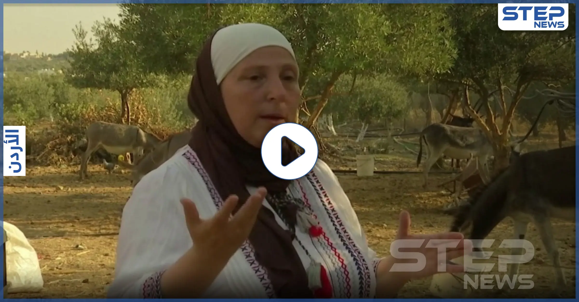 بالفيديو || يساعد في شفاء الأمراض.. أردنية تستخدم حليب الحمير في صناعة الصابون: زيت جوز الهند