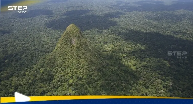 "هرم غامض" في غابات الأمازون يثير حيرة العلماء: غابات الأمازون