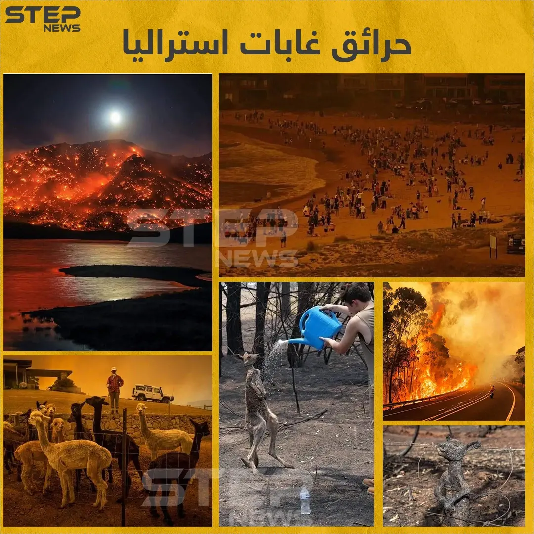 حرائق غابات استراليا: استراليا