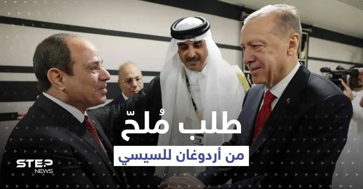 بأول مصافحة بينهما.. ماذا طلب أردوغان من السيسي على هامش افتتاح كأس العالم؟: ترسيم الحدود البحرية