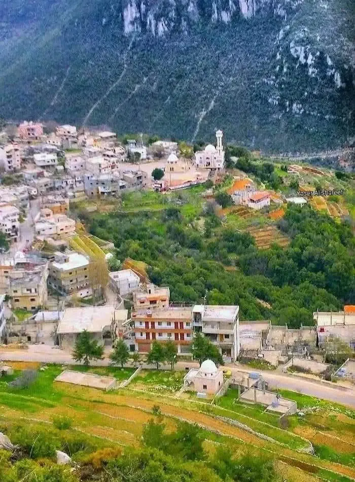 اللاذقية - عدسة الجمهور - وكالة ستيب نيوز