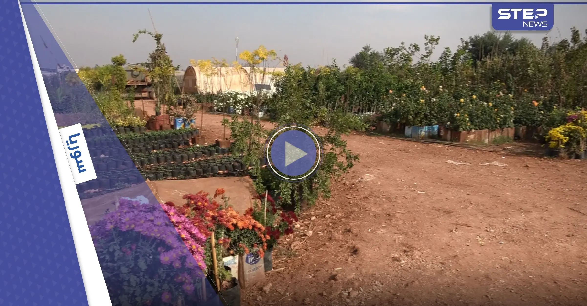 ورثا المهنة عن أبيهما .. حسين وأخيه يديران مشتل للزهور في إدلب رغم الصعوبات: فيديو سوريا