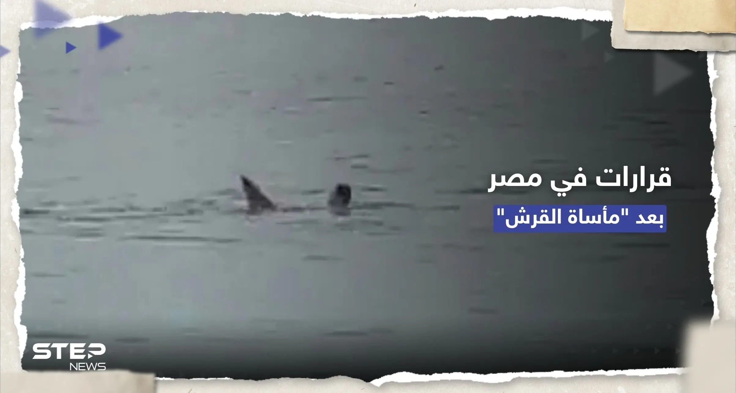 بعد مأساة القرش.. قرارات فورية في مصر وتحذيرات من روسيا: هجوم قرش