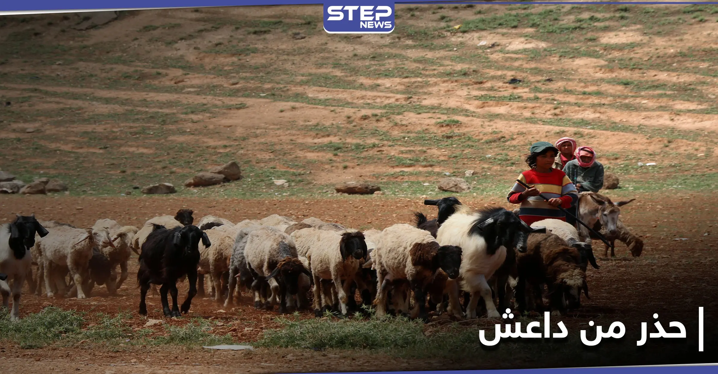 بتهمة مرتبطة بداعش.. قوات النظام السوري تعتقل رعاة أغنام وتحتجز عرباتهم بريف الرقة: اعتقال