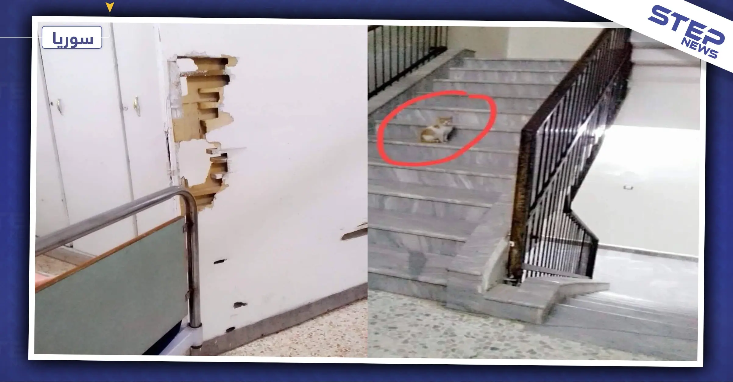 "مشفى حماة نموذج للانسجام بين المرضى والحيوانات".. ماذا عن سوء المعاملة والرشاوي!: مشفى حماة الوطني