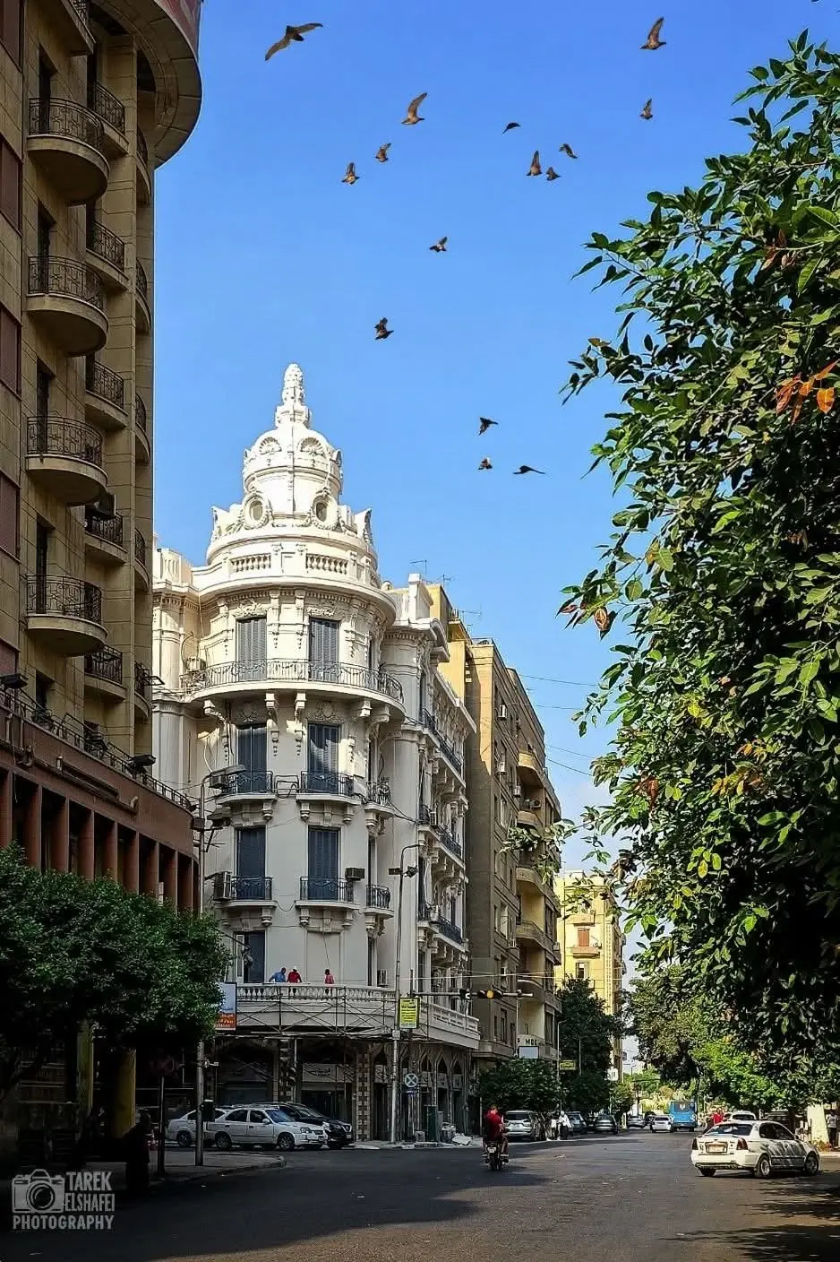 مصر - عدسة الجمهور - وكالة ستيب نيوز