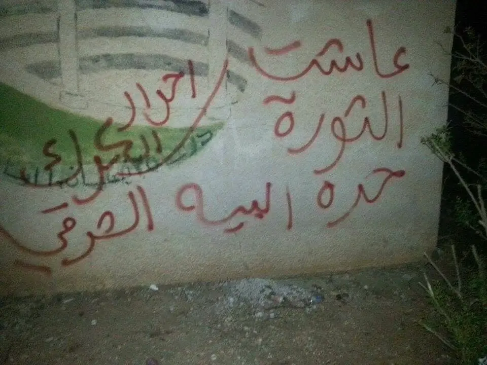 عودة "الرجل البخاخ" إلى درعا، وتشكيل شرطة مدنيّة شرقها: الرجل البخاخ