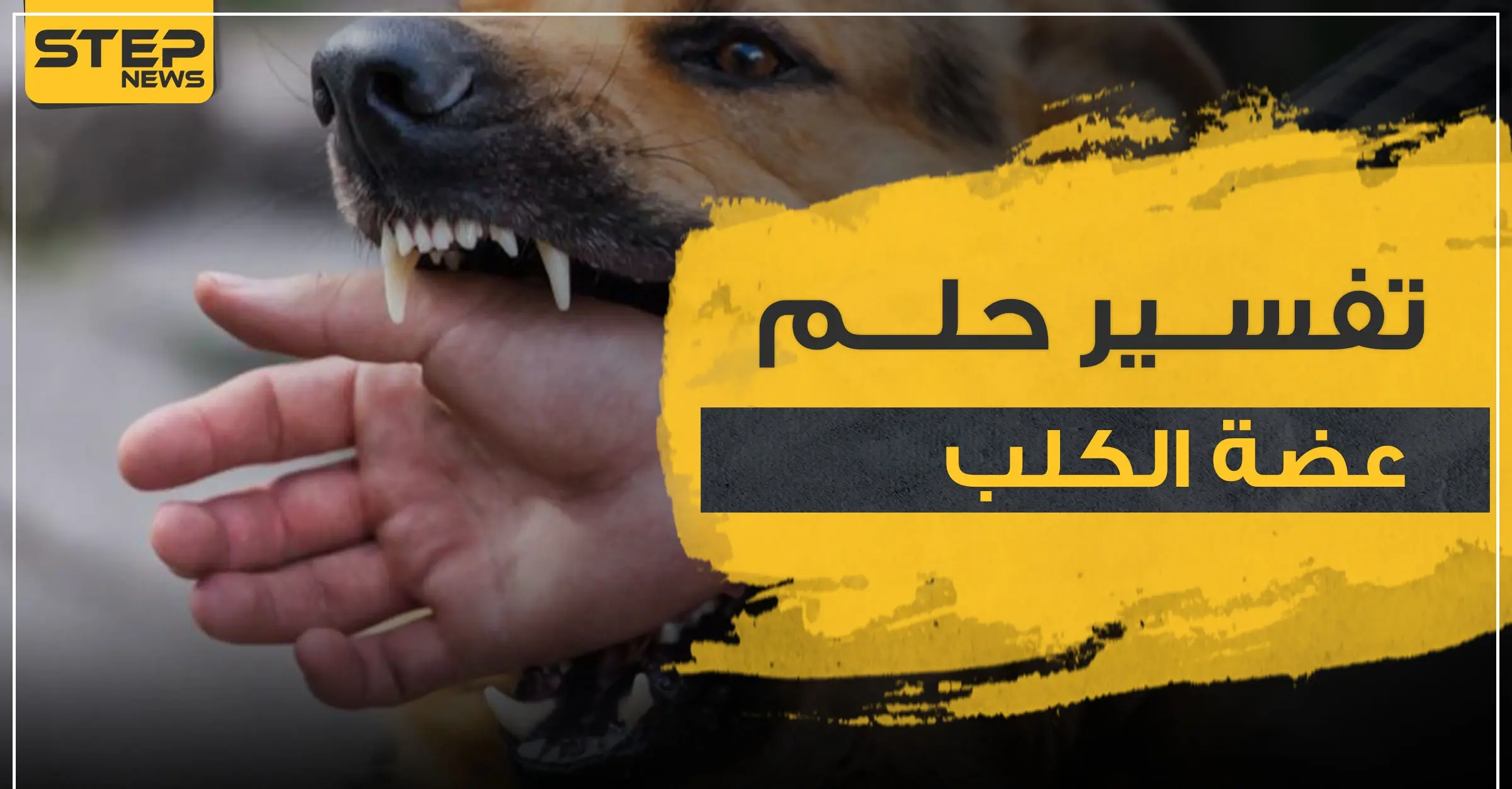 تفسير حلم عضة الكلب في المنام و4 دلالات في رؤيته للعامة في المنام: مامعنى العضة بالمنام