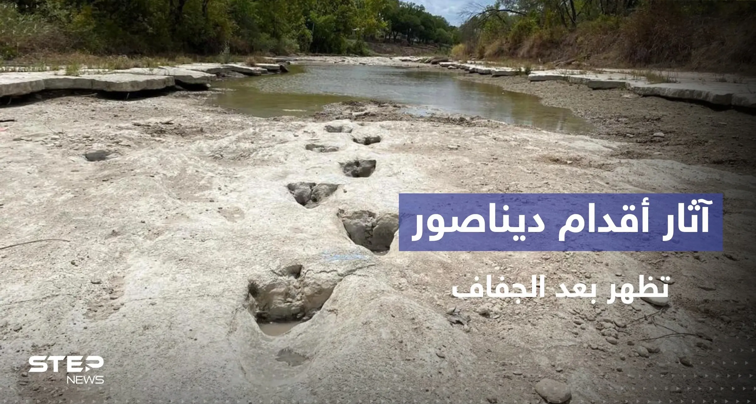 شاهد || آثار أقدام ديناصور عمرها 113 مليون عام تظهر بعد جفاف نهر في تكساس: تكساس