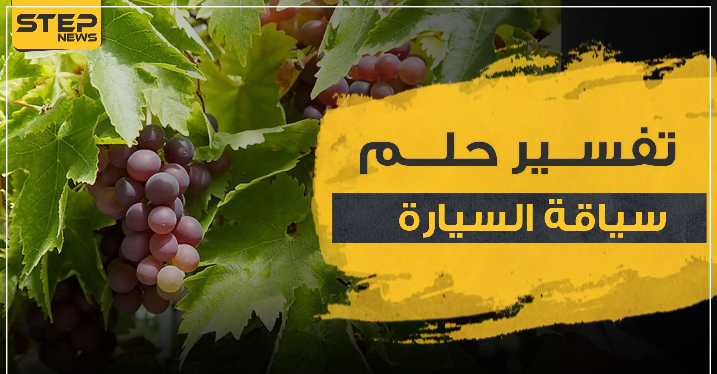 تفسير حلم رؤية أكل العنب..4 تفاسير مختلفة مع تفصيل أنواع العنب للرجال والنساء: تفسير الاحلام