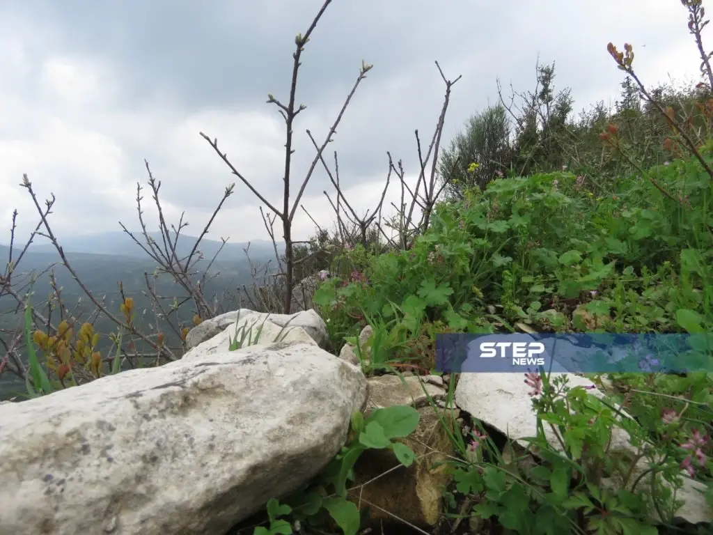 موجز أخبار الوضع السوري ليوم السبت 13-04-2019: موجز أخبار الوضع السوري