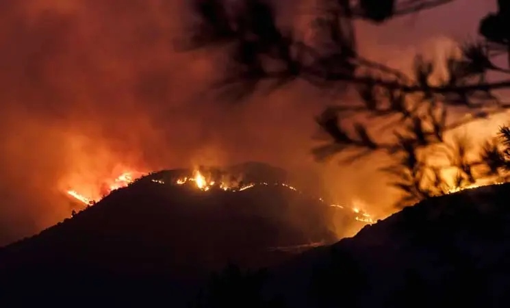 4 قتلى مصريون إثر حريق مستعر لليوم الثاني في غاباتٍ كثيفة بقبرص (صور): 4 قتلى مصريون