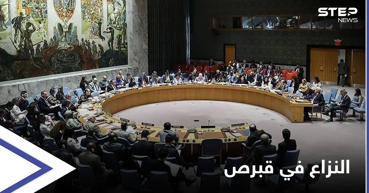 مجلس الأمن يوافق على إعلان لتسوية النزاع في قبرص.. ماذا تضمن؟: رجب طيب إردوغان