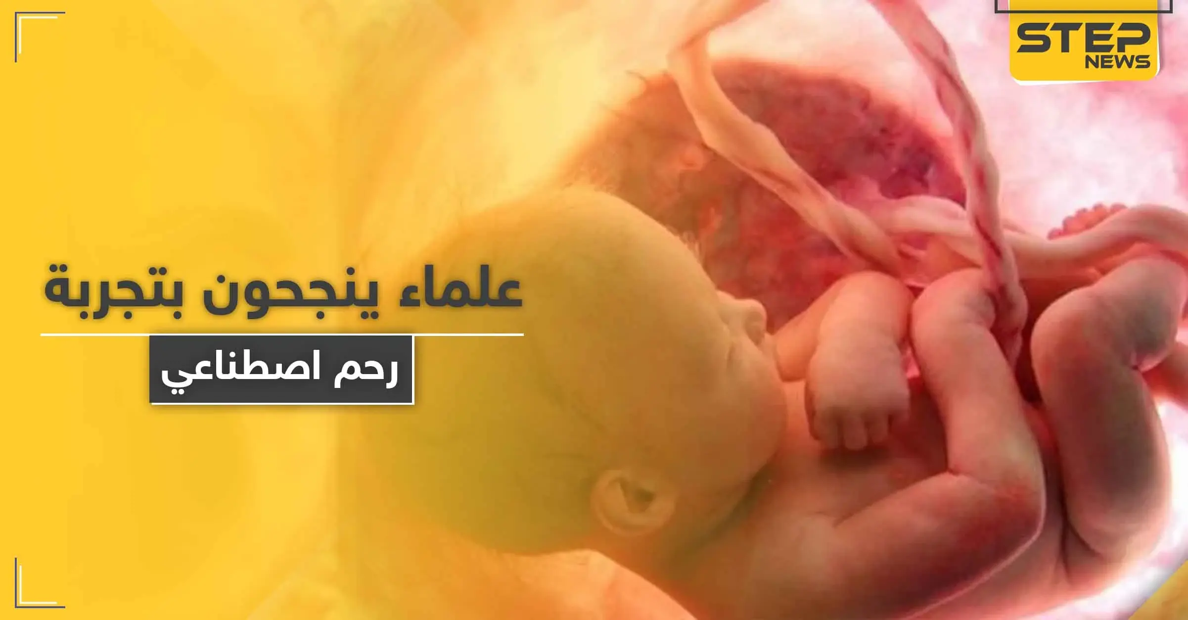 "يمكن مشاهدة تطور الجنين".. علماء ينجحون باختبار رحم اصطناعي: جنين