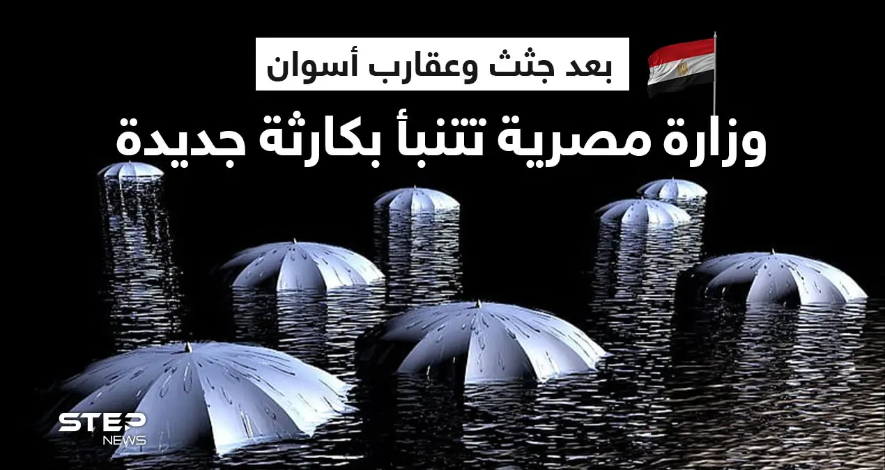 وزارة مصرية تتنبأ بـ"كارثة في شلاتين" بعد واقعة أسوان وانتشار العقارب والجثث بالشوارع: أسوان