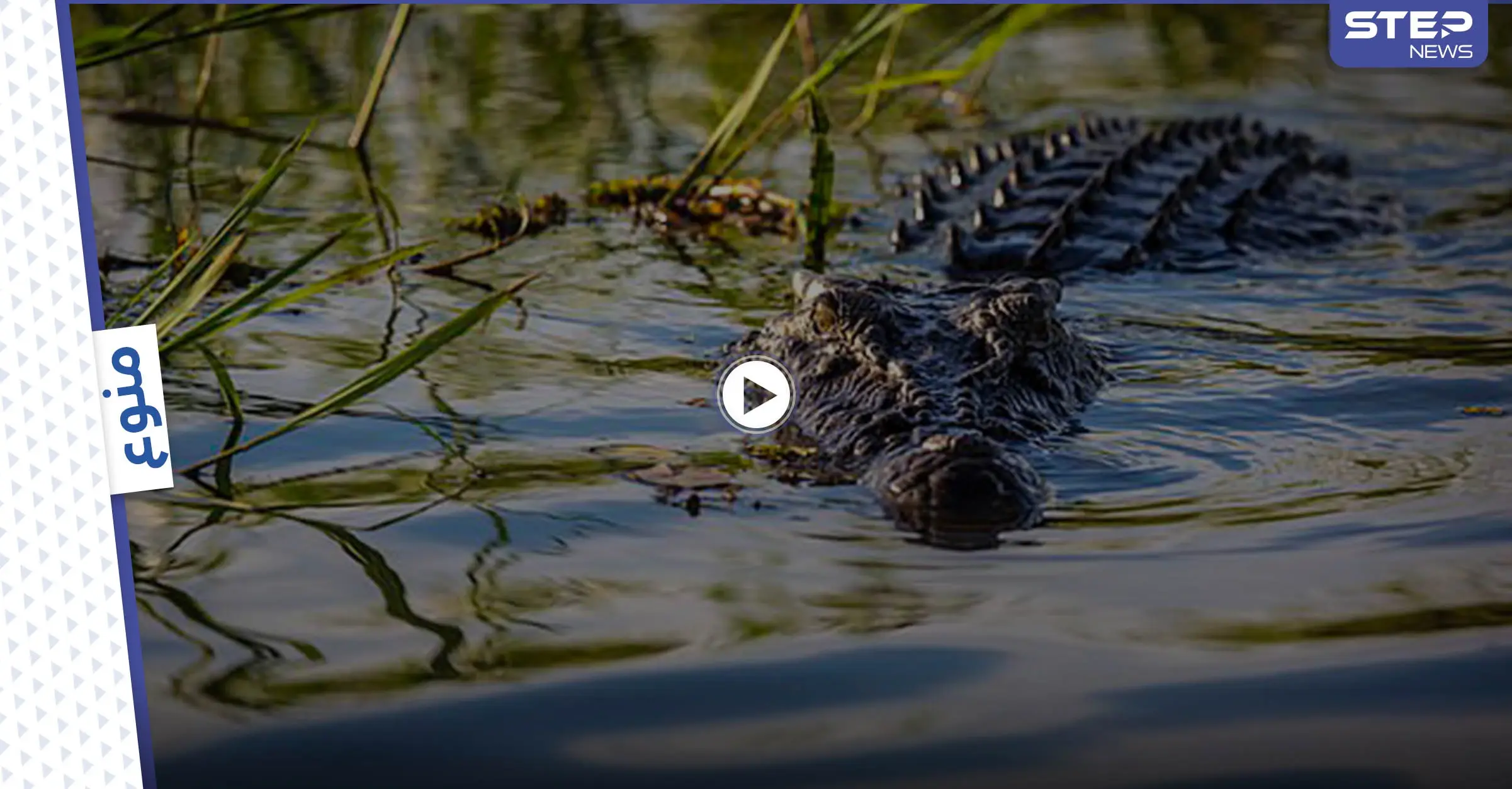 تمساح متوحش يبلغ طوله 5 أمتار يقفز من الماء إلى قارب لمحاولة إفتراس 4 صيادين (فيديو وصور): عالم الحيوان