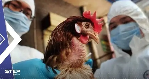 الصحة العالمية تكشف عن أول حالة وفاة بشرية بإنفلونزا الطيور في العالم: الصين تعلن