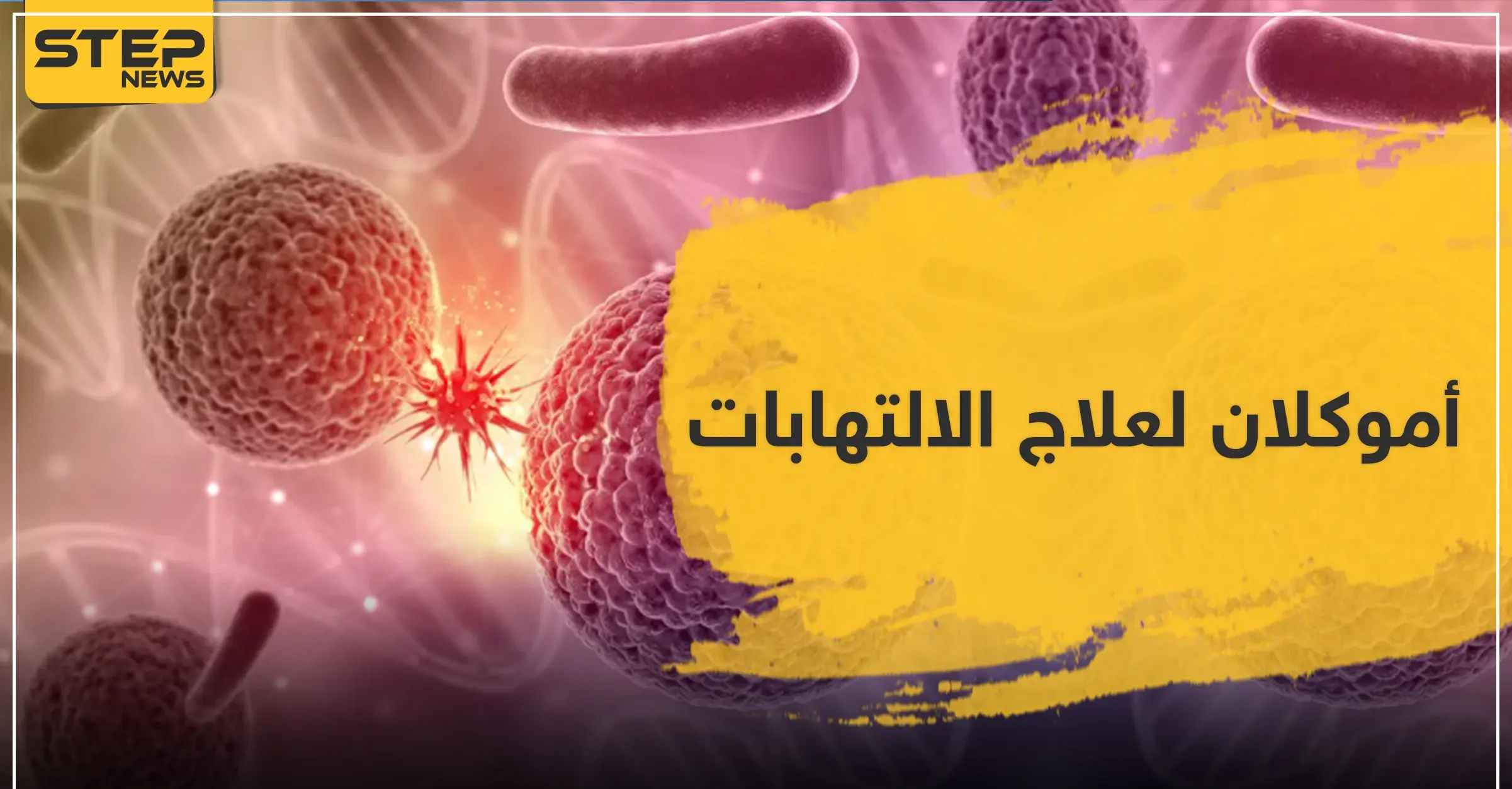 أموكلان لعلاج الالتهابات: الكبد