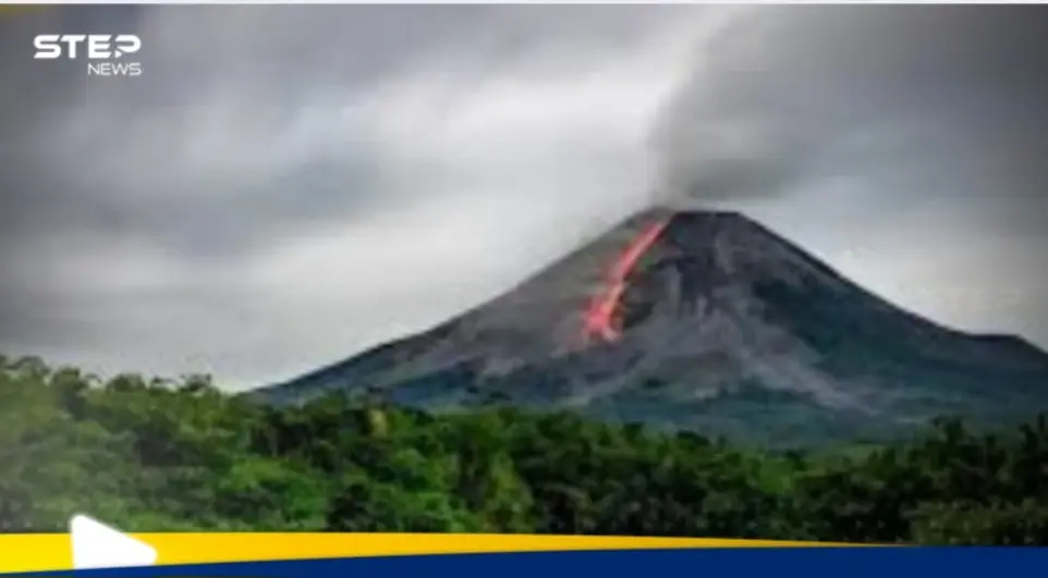 دراسة علمية.. أوراق الشجر تتنبأ بثوران البراكين قبل البشر: البراكين