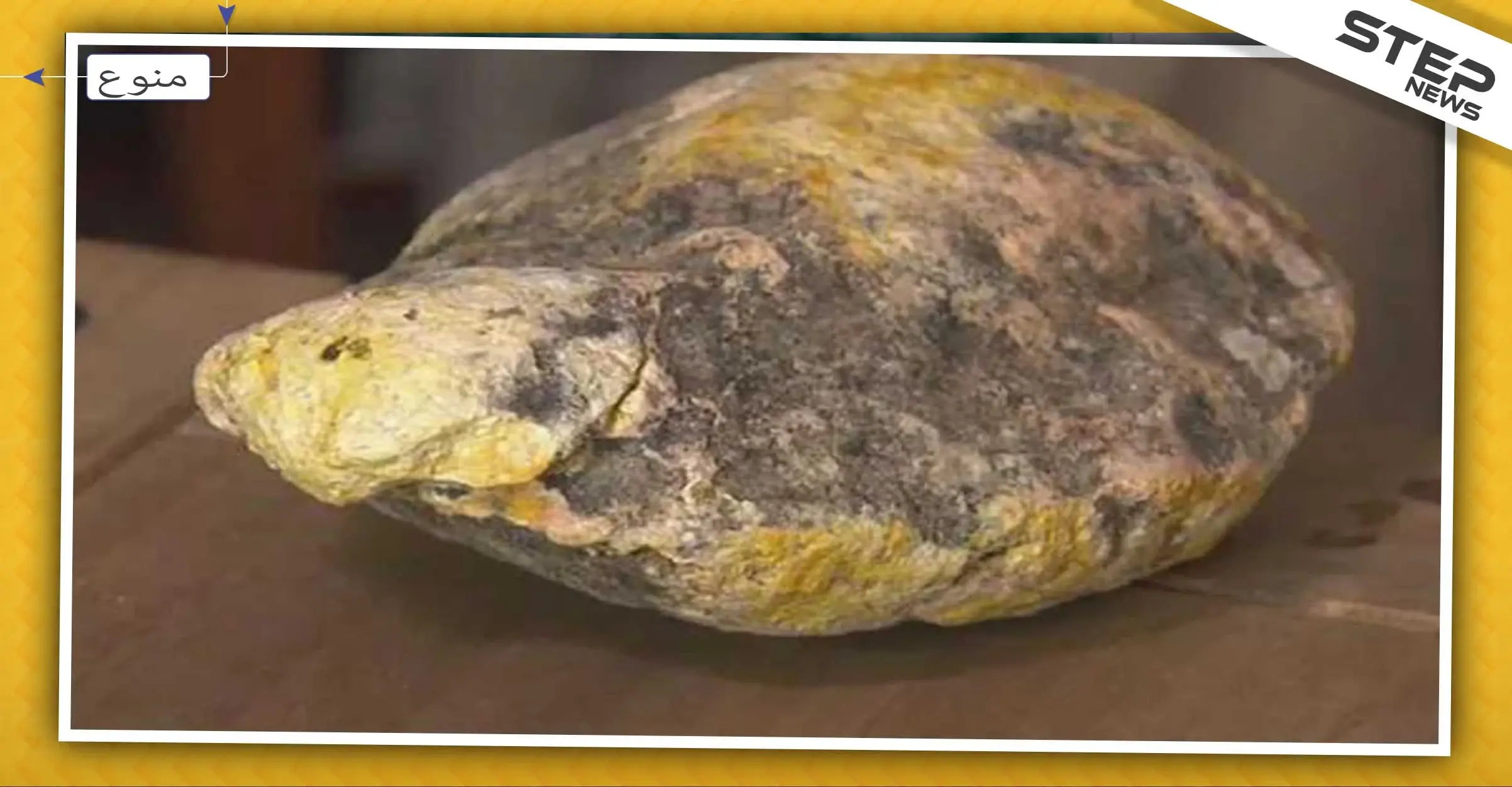 أثناء بحثه عن نفايات.. عامل نظافة يعثر على "قيء حوت" باهظ الثمن !: تايلند