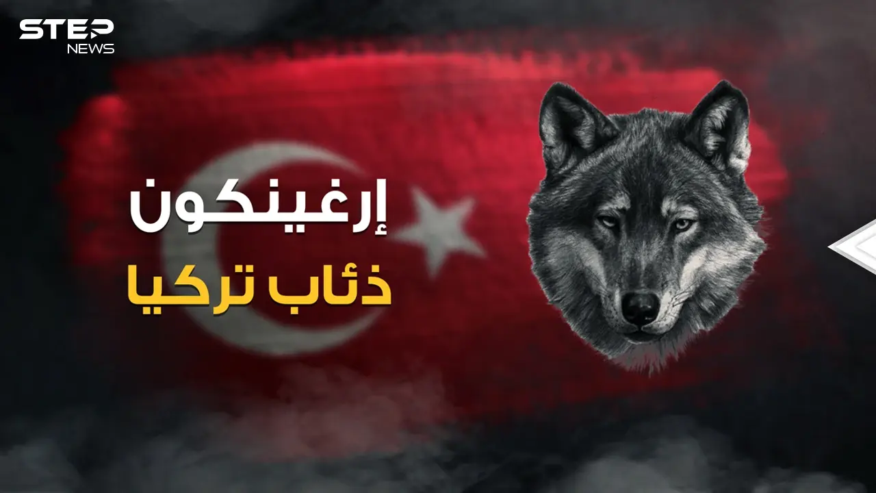 رضعوا حليب الذئاب .. ماذا تعرف عن منظمة إرغينكون وقصة الذئبة التي أنجبت الأتراك!: فيديوغراف