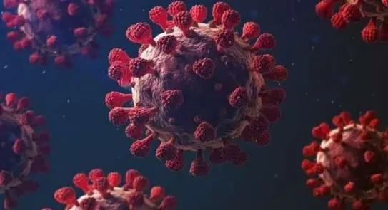 اكتشاف سلالة جديدة من كورونا في البيرو.. وإقليم كردستان يقرر فرض حظر شامل للتجوال خلال العيد: كورونا في الهند