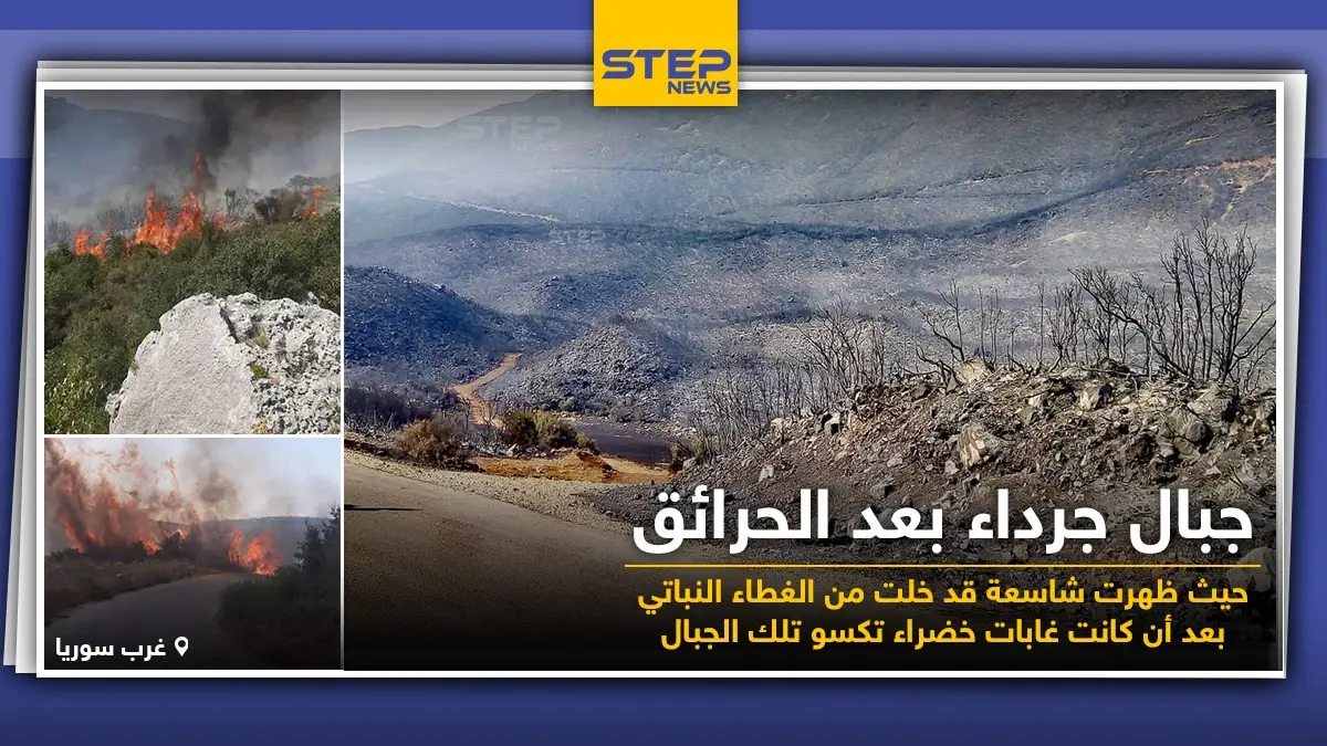 جبال خالية من النباتات عقب الحرائق التي التهمتها جراء ارتفاع درجات الحرارة: خبر وصورة