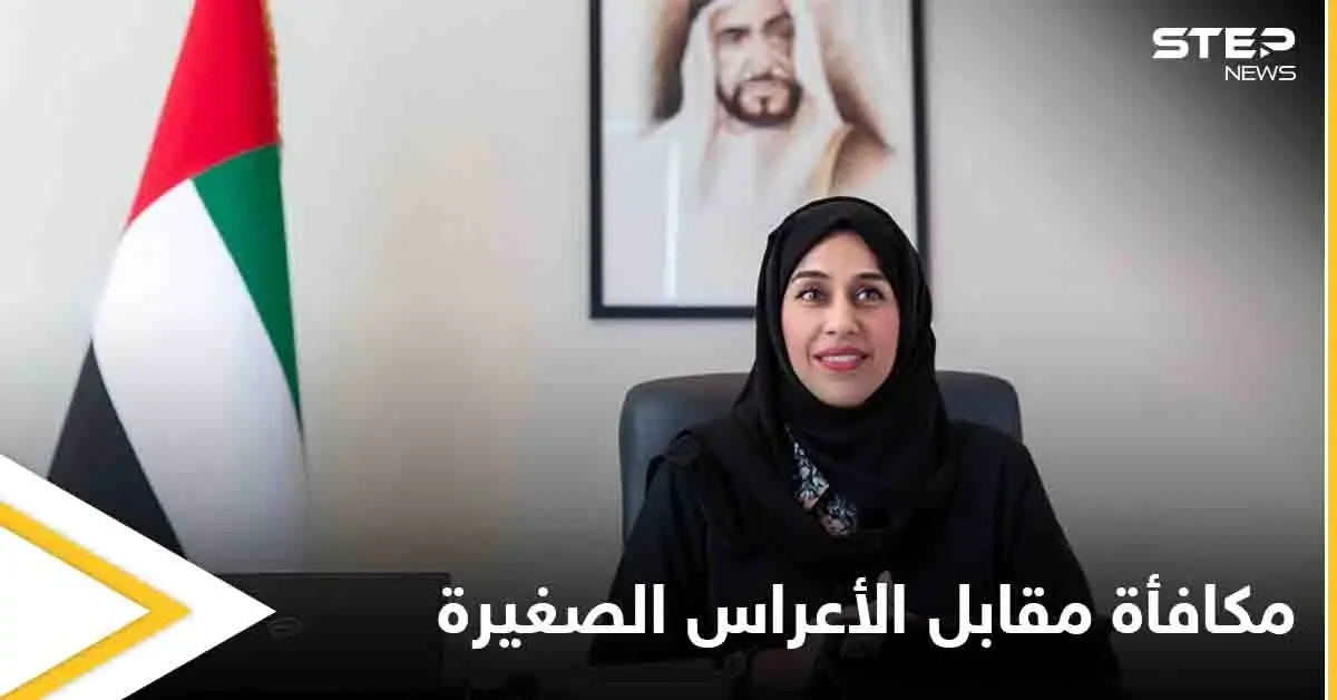  "عرس صغير" مقابل منحة كبيرة.. قرار جديد في الإمارات: الزواج