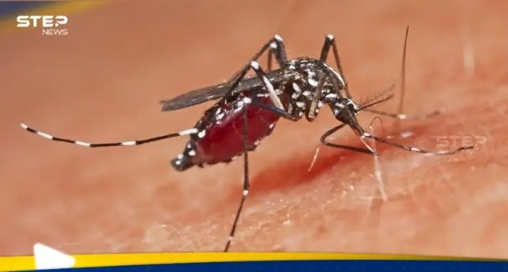 مجددا.. فيروس جديد يطل من الصين ينقله البعوض: منوع