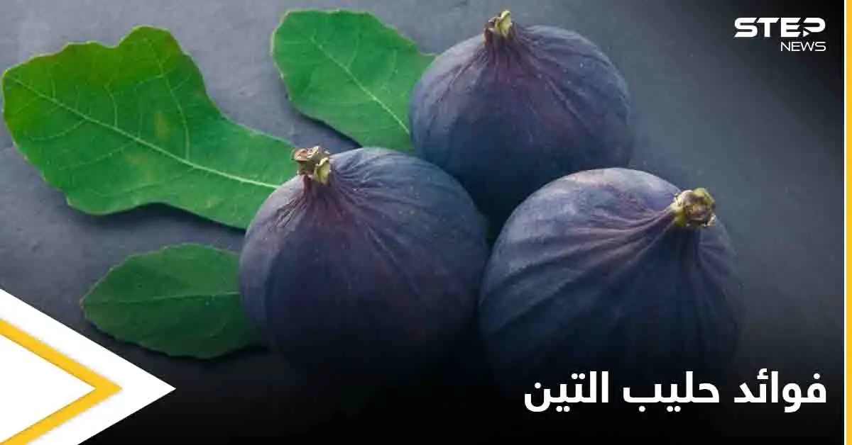 ما هو حليب التين مما يتكون وفوائده الصحية الكثيرة إليك كل ما عليك معرفته عنه: فوائد