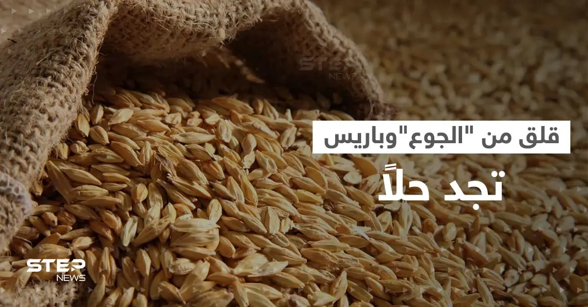 قلق الجوع يمتد من أوروبا إلى أستراليا.. وطريق بريّ قد يكون الحل: موانئ أوكرانيا